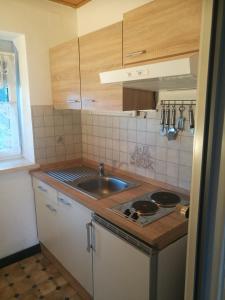 a small kitchen with a sink and a stove at Haus Alexander in Hart bei Graz