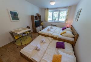 Posteľ alebo postele v izbe v ubytovaní Apartmán Lipno 20