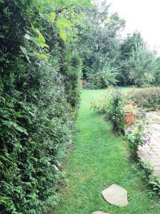 a garden with hedges and a walkway at Les Alouettes B&B in Hardecourt-aux-Bois