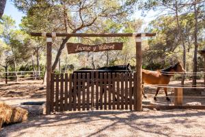 un cheval debout derrière une porte en bois avec un panneau dans l'établissement Hostal Cala Boix, à Es Cana