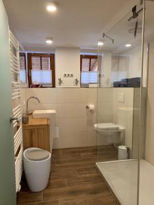 a bathroom with a toilet and a sink and a shower at AlpLodge in Pfronten