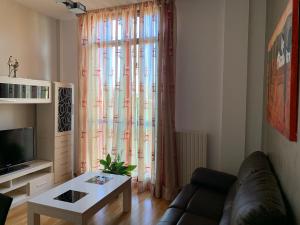 un soggiorno con divano e tavolino da caffè di Cozy apartment Plaza del Pilar - San Felipe a Saragozza