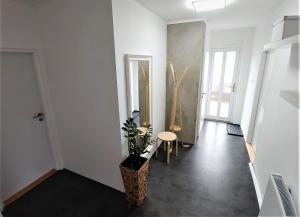 Fotografie z fotogalerie ubytování Apartmán Lenka v destinaci Boršice