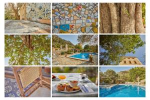 Kép Agroturismo Alquería Blanca szállásáról Bunyolában a galériában