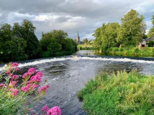 a river with pink flowers in front of it at Annaswood B&B in Cahir