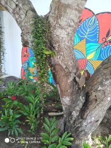 a tree with ivy growing on the side of it at Villa Nobre Diniglei in Trancoso