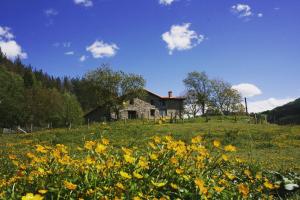 a house on a hill with a field of flowers at Casa rural Abatetxe in Elgóibar