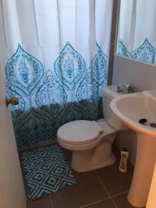 y baño con aseo y cortina de ducha. en Casa el Tihue Puerto Varas en Puerto Varas