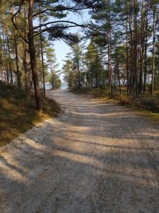 Gallery image of Cerību Liedags in Mērsrags +93 photos