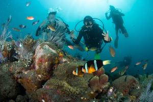 Hosté ubytování Bali Dive Resort Amed