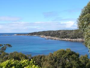 
a scenic view of a beach with palm trees at THE LOFT @ Bay of Fires Seascape in Binalong Bay
