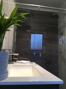 een badkamer met een wastafel en een grote spiegel bij Executive Villa, private 2 bedroom in ideal location in Bathurst