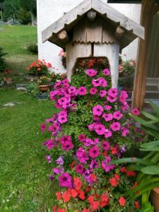 una casetta per uccelli con fiori rosa in un cortile di B&B PRA' DEI CERVI a Telve