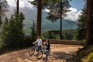 
Biking at or in the surroundings of Apple Country Resorts- A Vegetarian Place
