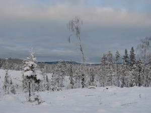 Båtstadsberget Höljes under vintern