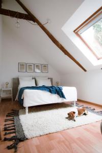 Un dormitorio con una cama y un perro en una alfombra en La Ville Tanet, en Landéhen