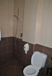 a bathroom with a toilet and a shower at Хотел Планински кът in Dorkovo