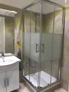 een badkamer met een douche en een wastafel bij Imperial Apartments Schönbrunn - Jadengasse in Wenen