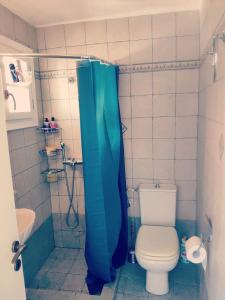a bathroom with a toilet and a blue shower curtain at Sifnos Twin Houses in Apollonia