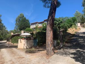 a tree sitting in front of a house at Les Arches - Pardigon in La Croix-Valmer