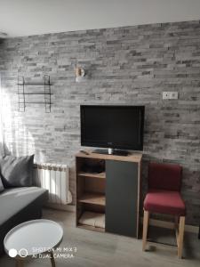 een woonkamer met een televisie aan een bakstenen muur bij Appartement Résidence Armazan - pieds de piste in Saint-Lary-Soulan