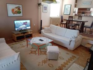 a living room with a white couch and a tv at Riverside Villa Matka in Skopje