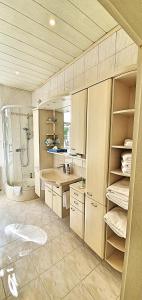 a large bathroom with a shower and a sink and a shower at Ferienwohnung "Alte Fleischerei" Freiberg Sachsen in Freiberg