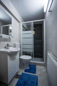 Kylpyhuone majoituspaikassa Hotel Darina Tarnaveni