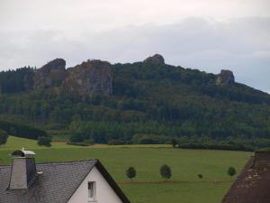 una casa en un campo con una montaña en el fondo en Familie Hotel Kameleon, en Olsberg