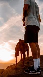 a man standing next to a dog on a rock at Familie Hotel Kameleon in Olsberg