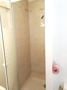 a shower with a glass door in a bathroom at Studio Résidence le Metropole in La Bourboule