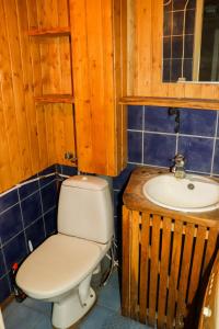 a bathroom with a toilet and a sink at Kooli Kopli Holiday Homes in Myustelʼ