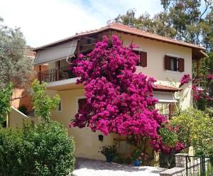 une maison avec des fleurs roses sur son côté dans l'établissement Grammatoula Apartment, à Nikiana