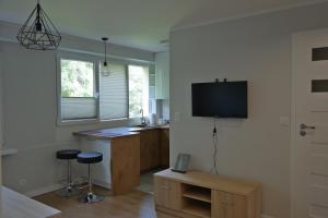 TV a/nebo společenská místnost v ubytování Apartament Bema
