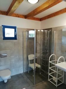 a bathroom with a shower with a toilet and a sink at Domki Szachulcowo in Jarosławiec