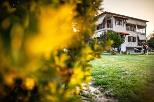 a house seen through a bush at Kokkinos in Vourvourou