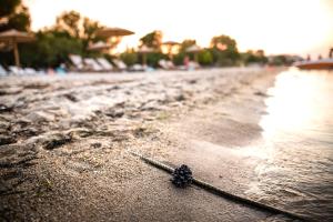 a rope laying on a beach with the water at Kokkinos in Vourvourou
