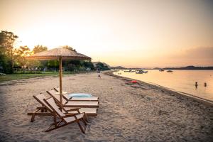 two lounge chairs and an umbrella on a beach at Kokkinos in Vourvourou