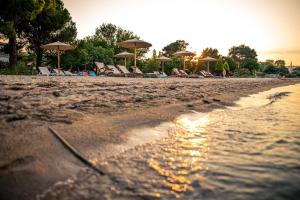 a group of chairs and umbrellas on a beach at Kokkinos in Vourvourou
