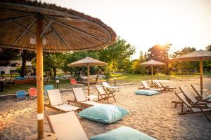 a group of chairs and umbrellas on a beach at Kokkinos in Vourvourou