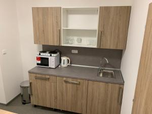 a kitchen with a sink and a microwave on a counter at Mikulov Inn - Apartments Slunce in Mikulov