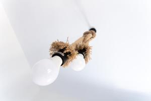 a moth hanging from a light bulb at Kokkinos in Vourvourou