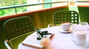 Fotografie z fotogalerie ubytování Hotel Albero v destinaci Granada