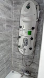 a bathroom with a shower with a toilet in it at Bnap Masip in Oviedo