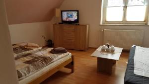 ein Schlafzimmer mit einem Bett und einem TV auf einer Kommode in der Unterkunft Gästehaus Nickolai in Flomborn