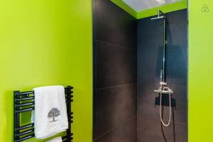 a bathroom with a shower and a green wall at Chambre d'hôtes LE SECADOU in La Ciotat