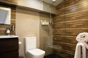 a bathroom with a toilet and a glass shower at Nature Rural- Collections in Berzosa del Lozoya +39 photos
