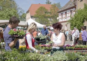 a group of people buying plants at an outdoor market at Gutshaus von Bismarck in Heldrungen