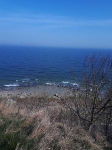 uma vista para uma praia com o oceano ao fundo em Haus Ebel em Putgarten