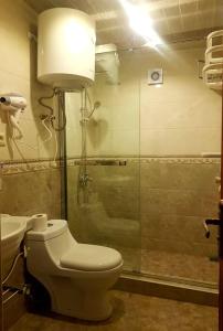 a bathroom with a toilet and a glass shower at Hotel Iveria in Abastumani
